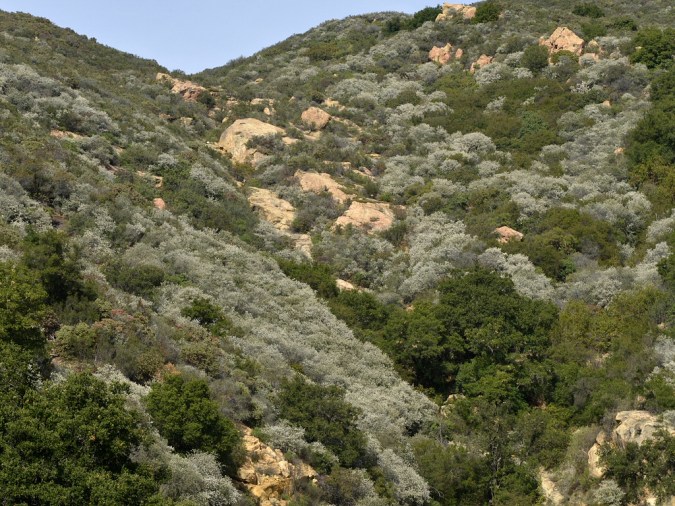 8429033220_79e4b8c1c4_b