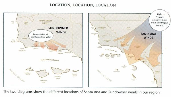 From: A Naturalist's Guide to the Santa Barbara Region by Joan Easton Lentz